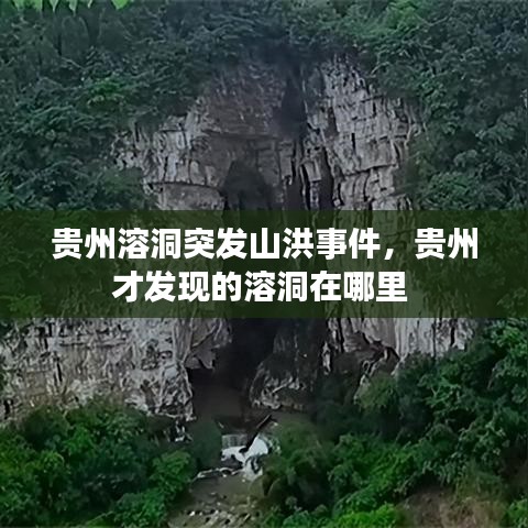 回收项目 第632页