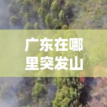 见缝就钻 第3页