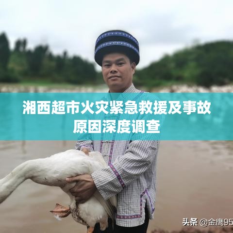 回收案例 第83页