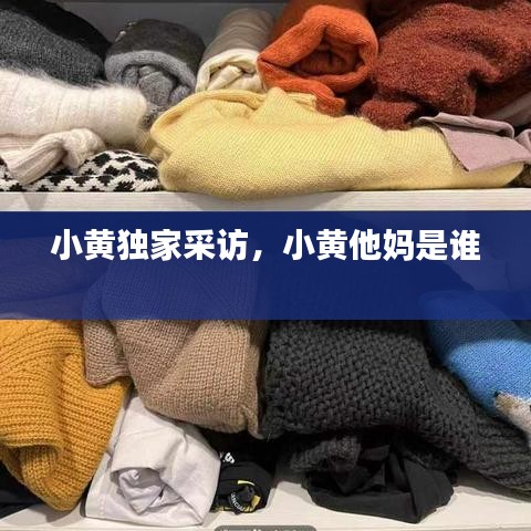 联系我们 第83页