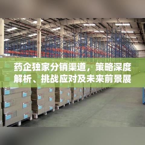 回收案例 第81页
