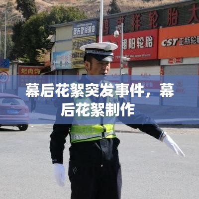 如鸟兽散 第3页