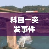 回收案例 第80页