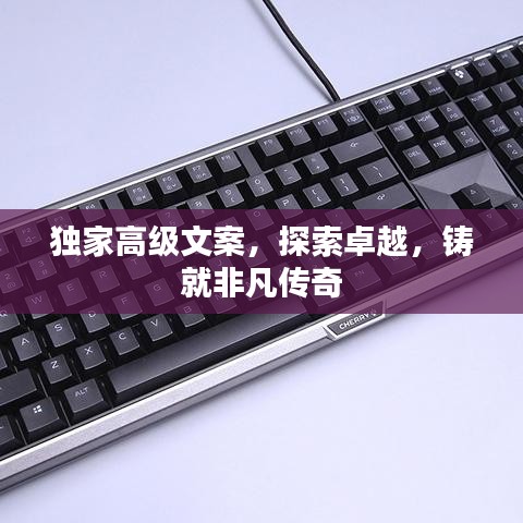 回收流程 第79页