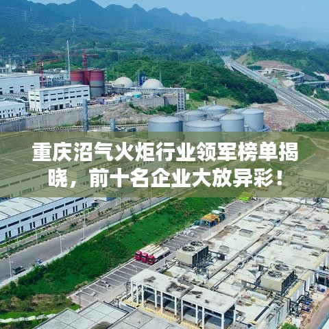 电池回收 第73页