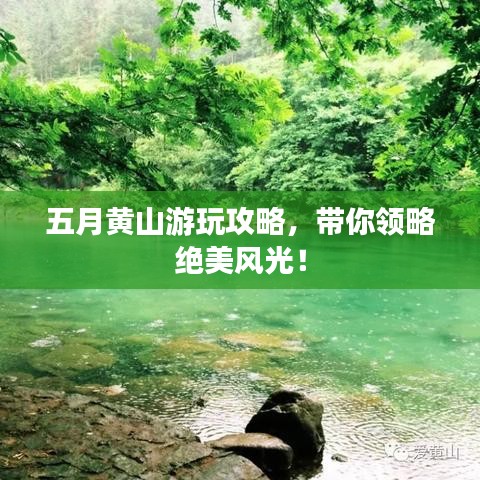 关于我们 第74页