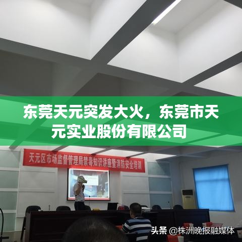 东莞天元突发大火，东莞市天元实业股份有限公司 