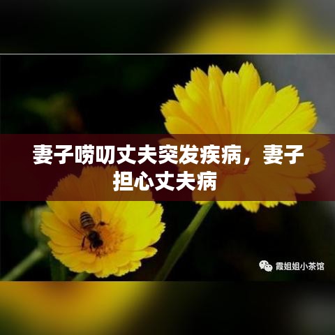 机械设备回收 第76页