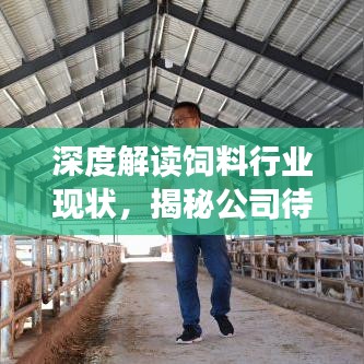 回收案例 第77页