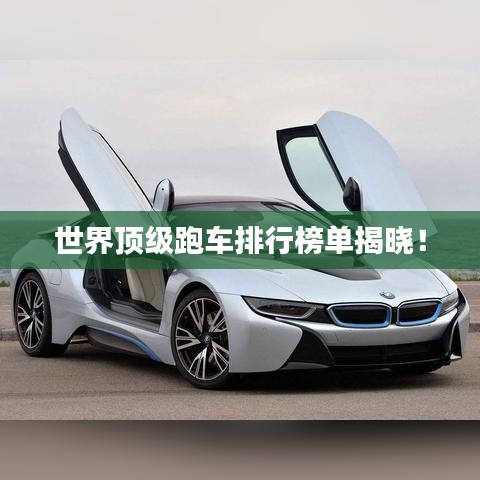 夯雀儿先飞 第2页