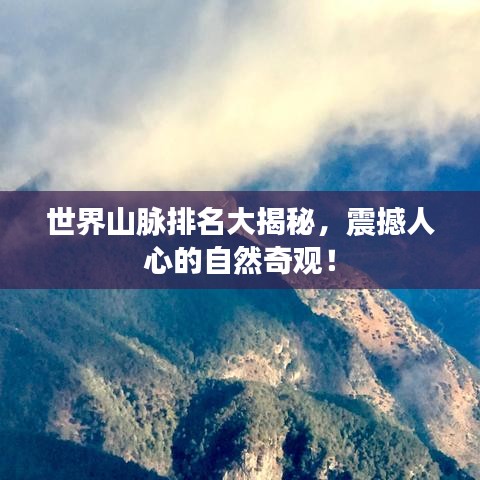 草率收兵 第2页