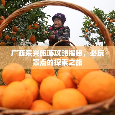 半新不旧 第2页