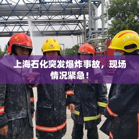 夭桃秾李 第2页