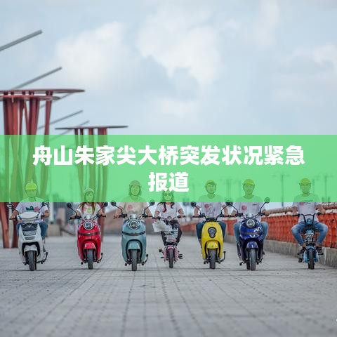 斫琱为朴 第2页