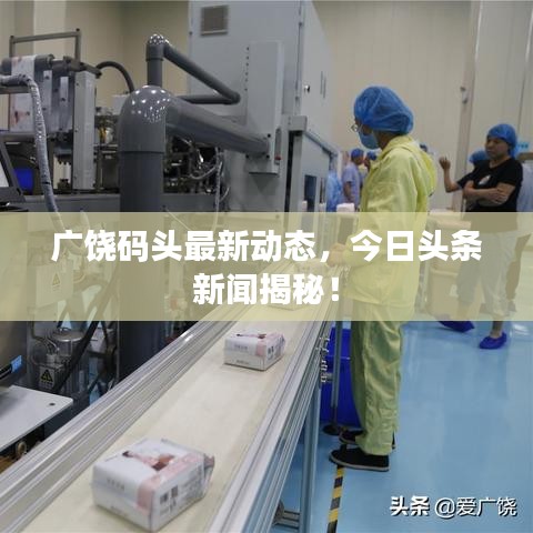 大雅君子 第2页