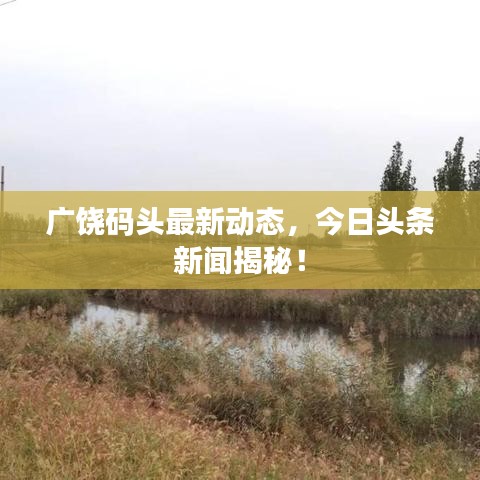 广饶码头最新动态,今日头条新闻揭秘!