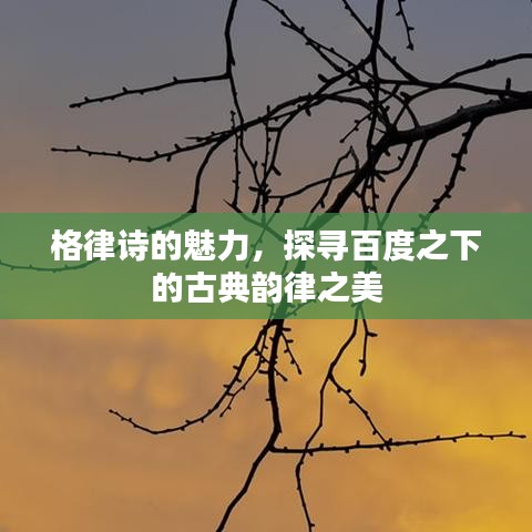 澹泊明志，宁静致远 第2页