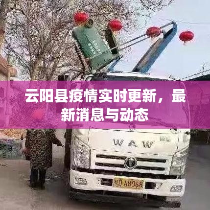 百鸟归巢 第2页
