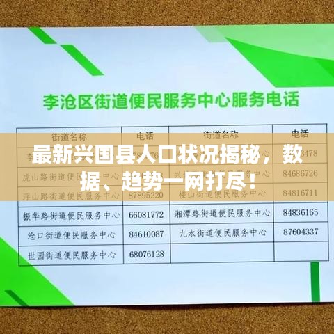 一石二鸟 第2页