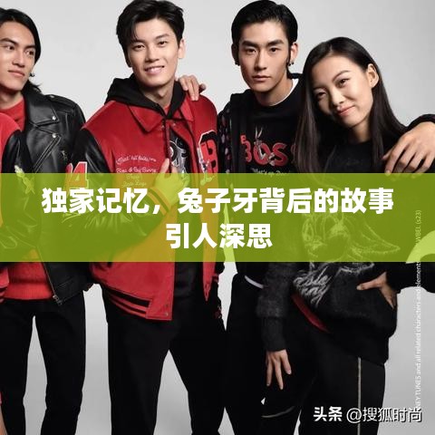 贵险贱璧 第2页