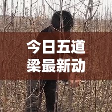 南辕北辙 第2页
