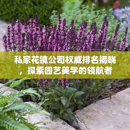 还淳反素 第2页