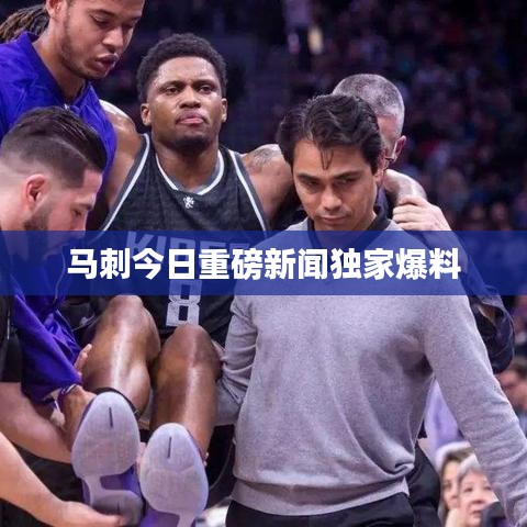 随方就圆