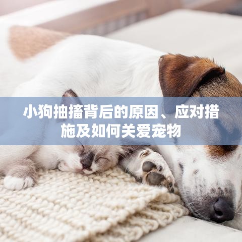 东成西就 第2页