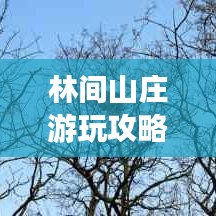 贵不可言 第2页