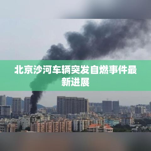 地老天荒 第2页