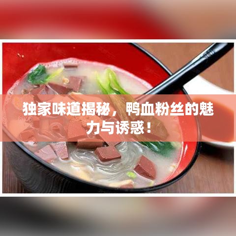 独家味道揭秘，鸭血粉丝的魅力与诱惑！