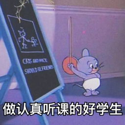 系统工具软件猫和老鼠另一个版本，高速响应解决方案_桌面款1_v4.430，全面系统优化与安全保障