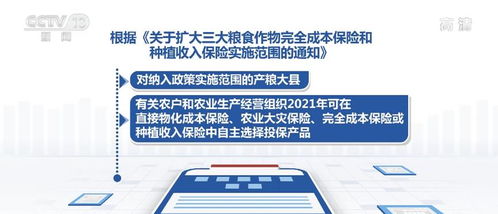 飞凡新版本,实地执行考察方案 扩展版_v10.184