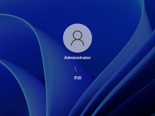 玉米网官方下载,数据驱动执行设计 标准版_v3.113