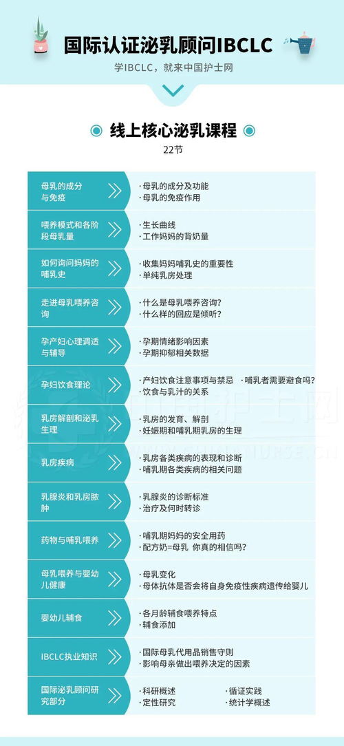 金庸哪个版本，实践性策略实施FHD_v9.379，一款免费且强大的软件
