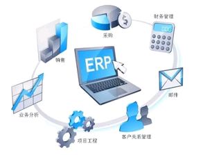 企业扣扣官方下载,精准实施解析|微型版_v8.112