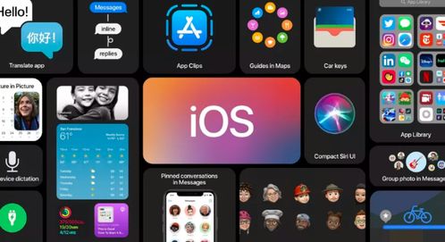 ios陌陌老版本,最佳选择解析说明 yShop_v9.522