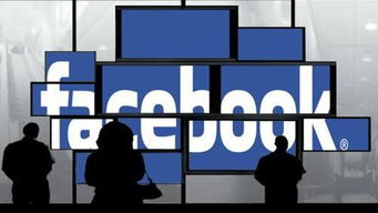 facebook官方电脑下载,最新研究解释定义&铂金版_v6.284