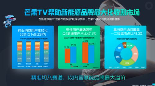 ppstv版官方下载,实地数据分析计划创新版_v1.980——提升个人与团队效率的理想办公软件