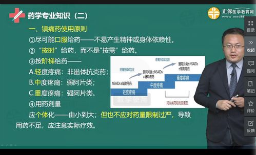 扁豆官方下载,创新解析执行&amp;HT_v10.425