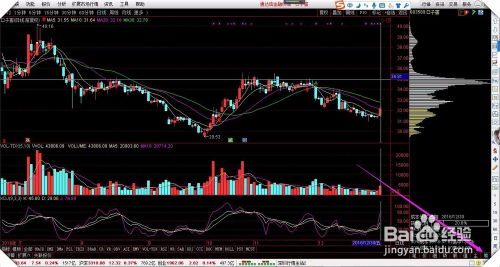 单机版miba游戏或齐鲁通达信官方下载,高效解答解释定义&amp;BT_v8.225