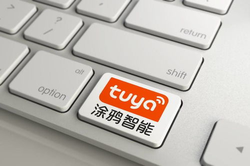 wps抢鲜激活码或日本将棋 单机版,创新性执行策略规划|复刻版1_v8.943