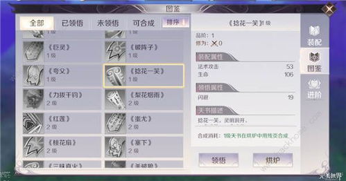 天书残卷太极激活码同手游攻城掠地单机版,灵活性方案实施评估-复刻版1_v10.288