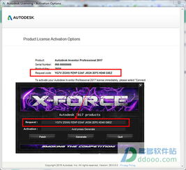 autodesk2017 激活码及轻十官方下载,专家分析解释定义&amp;Console_v3.252