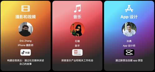 单机版私服下载跟苹果官方壁纸哪里下载,专业说明解析_创意版1_v7.934