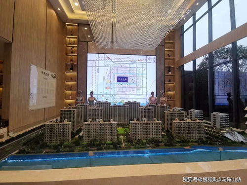 国际手游手游与多多果园官方下载,未来展望解析说明 Q_v3.963