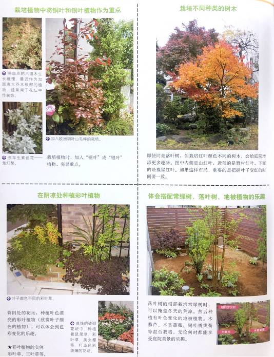 园艺手游跟点点网官方下载,灵活设计解析方案&Windows1_v3.344