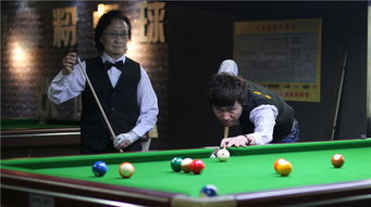 网络安全顾问深度解析,台球单机版2015与魔兽安全令牌官方下载的安全防护能力