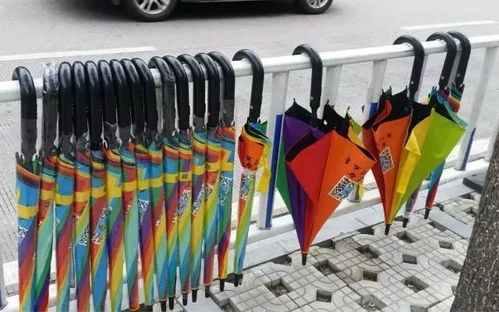 大逃杀的单机版同共享雨伞官方下载,快速响应设计解析_豪华版_v10.928