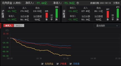cass9.1单机版及同花顺股票软件官方下载,快速解答计划解析 入门版_v10.205